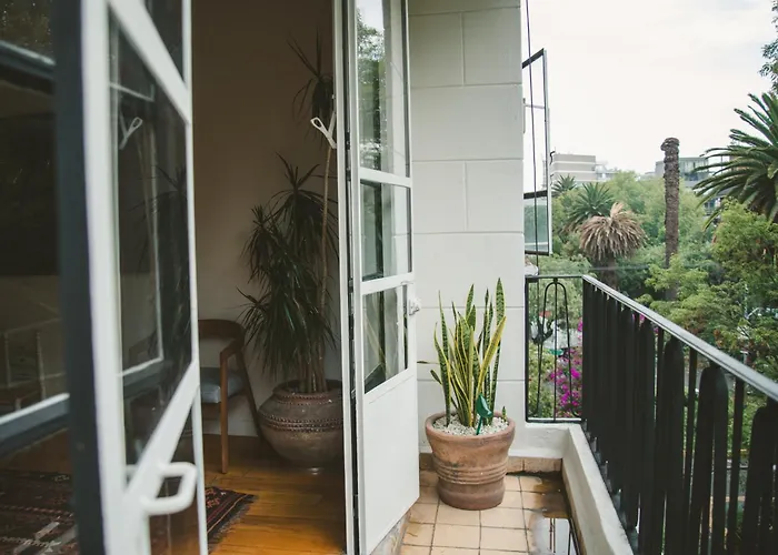 Charming Flat With Art & Natural Light In Condesa * Mexico