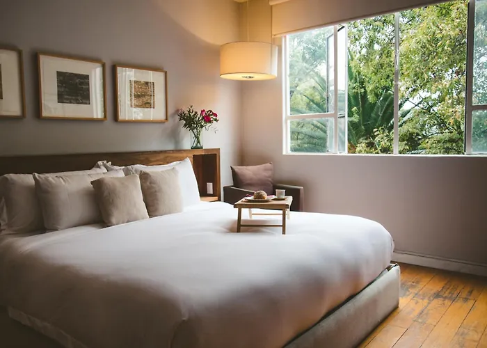Charming Flat With Art & Natural Light In Condesa *