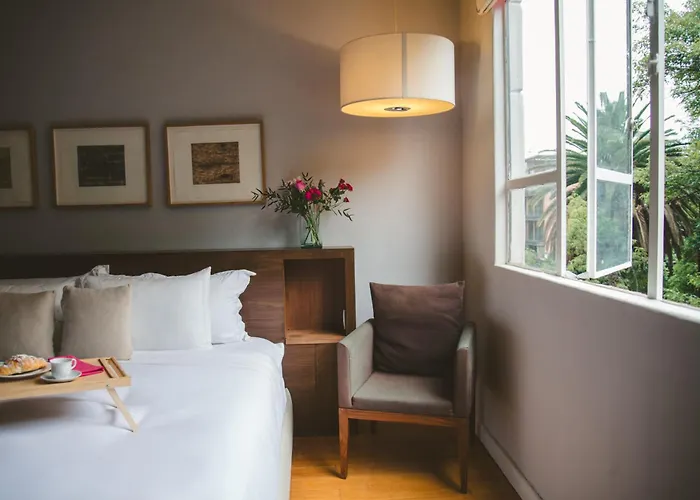 Appartement Charming Flat With Art & Natural Light In Condesa Mexico